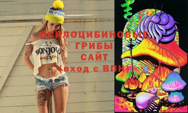 сатива Балахна