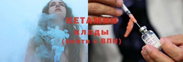 сатива Балахна