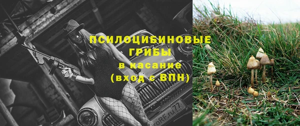 твердый Белокуриха