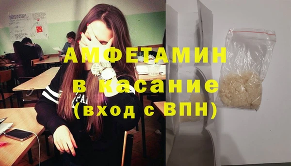 сатива Балахна