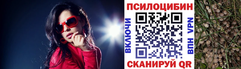 Псилоцибиновые грибы прущие грибы сайты даркнета наркотические препараты Ногинск
